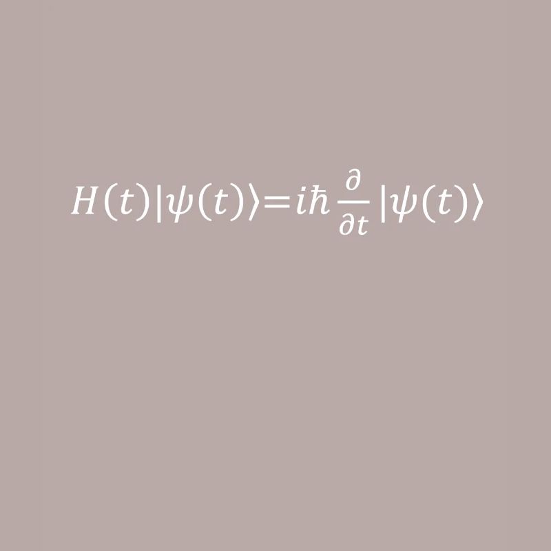 Schrödinger Equation Physicist Gift Physics