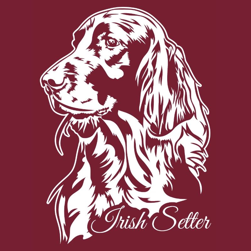 Setter irlandais Chien de chasse Chiens de chasse Chiens Wilsigns