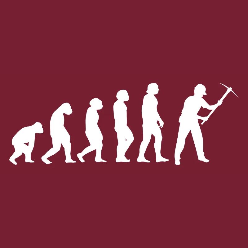 Evolution Bergmann