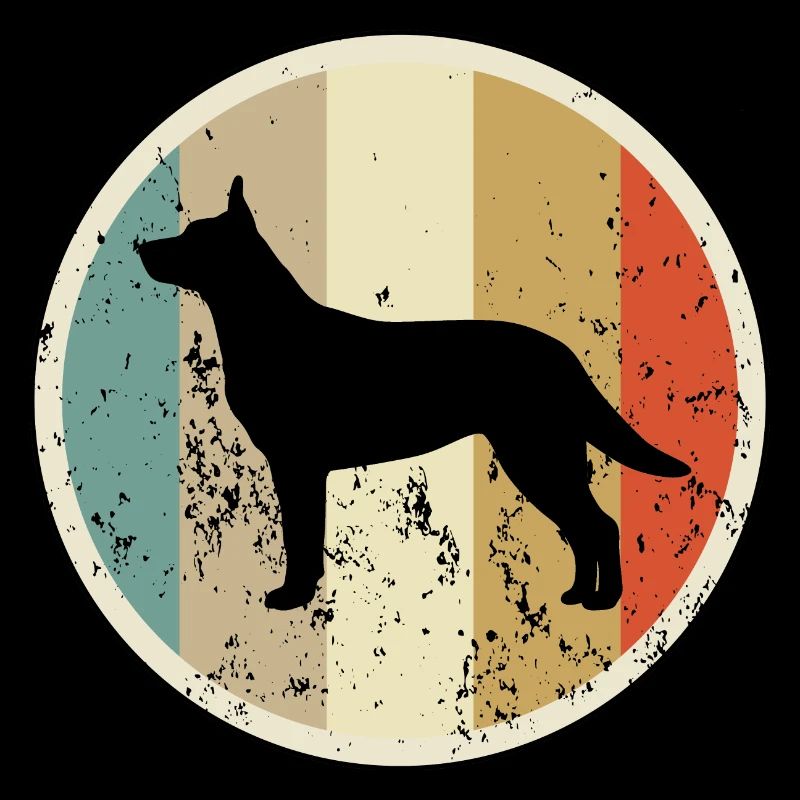 Australischer Australian Kelpie