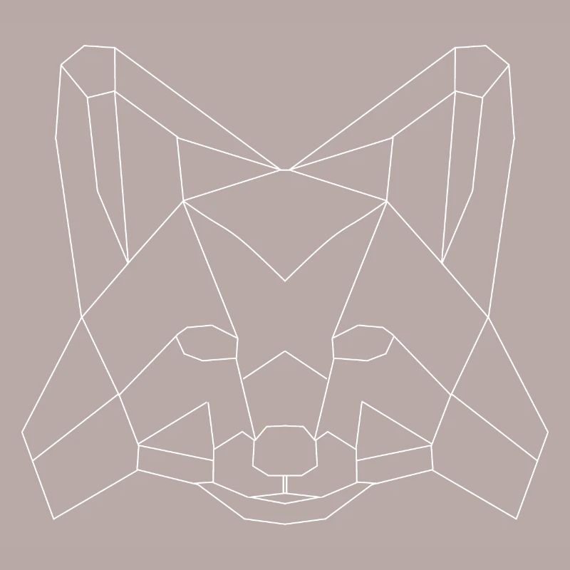 Fuchs polygons white