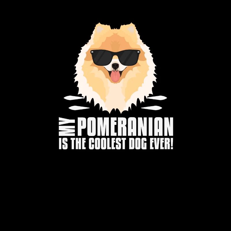 Mon spitz nain est le plus cool