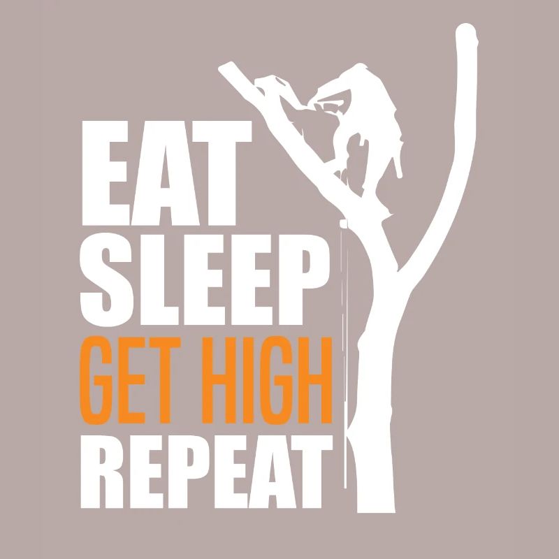 Arborists Tree Climbers Tree Care