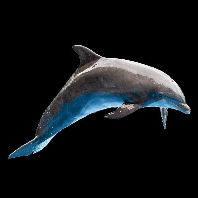 Saut de dauphin, Poisson, Naturel