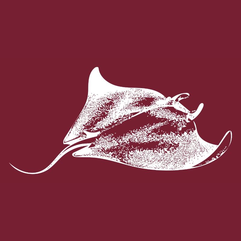 Manta Rays Sealife