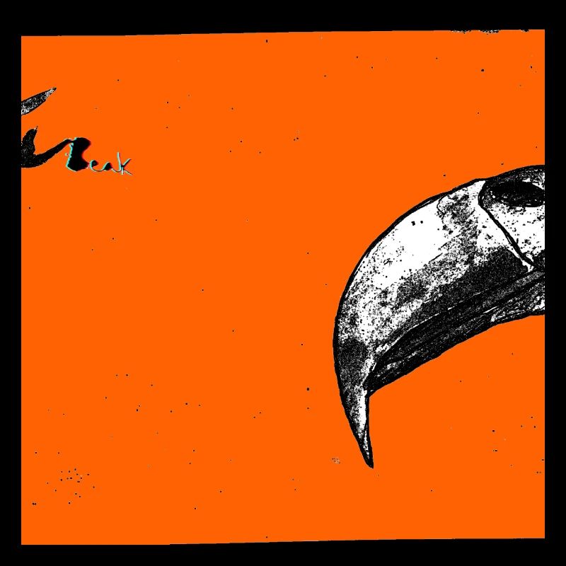 Beak Original Artwork