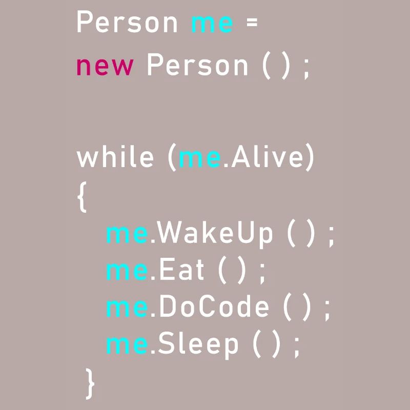Personne moi = nouvelle personne (); Code de programmation Java