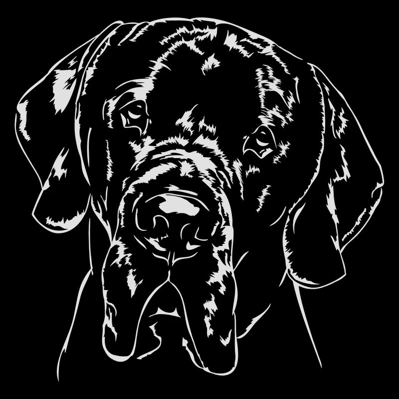 Great Dane - Great Dane