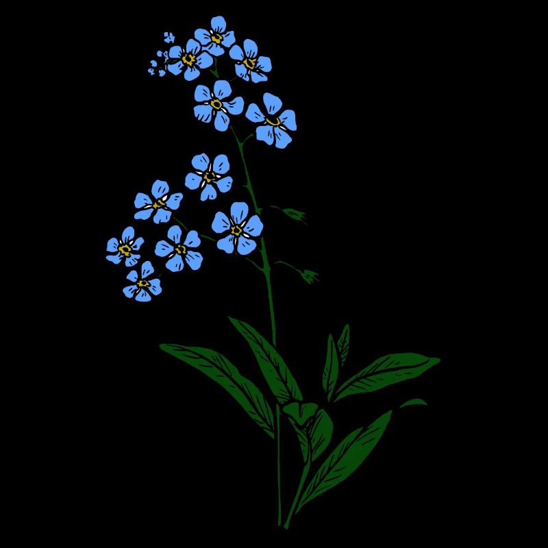 Forget-me-not blue