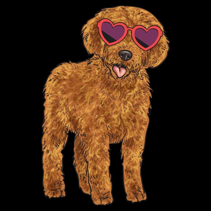 Labradoodle Hund