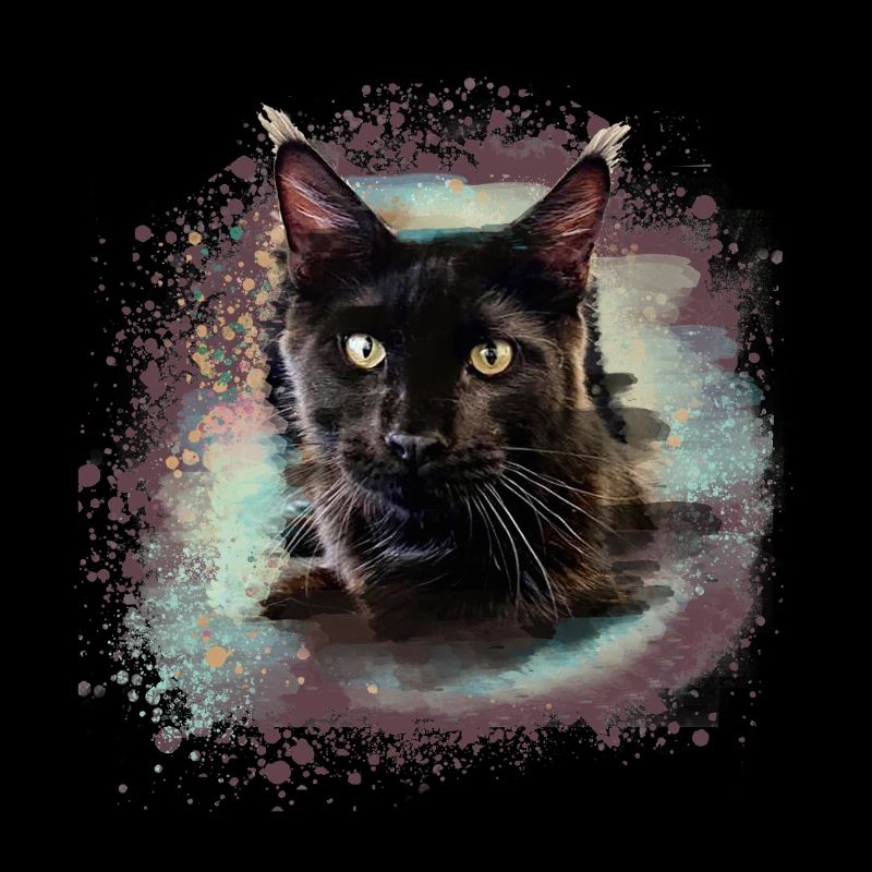 maincoon,katze,graffiti,malerei, Maine-Coon-Katze,
