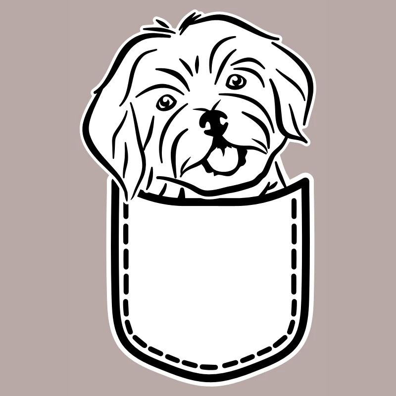 Havanese