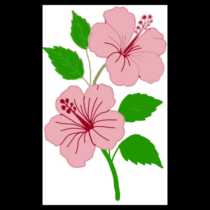 hibiscus