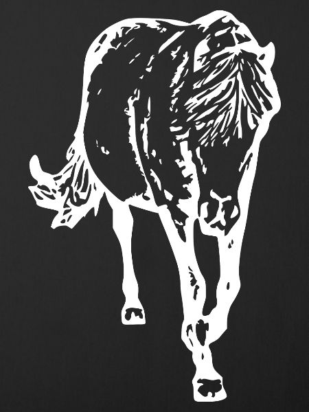 Pferd