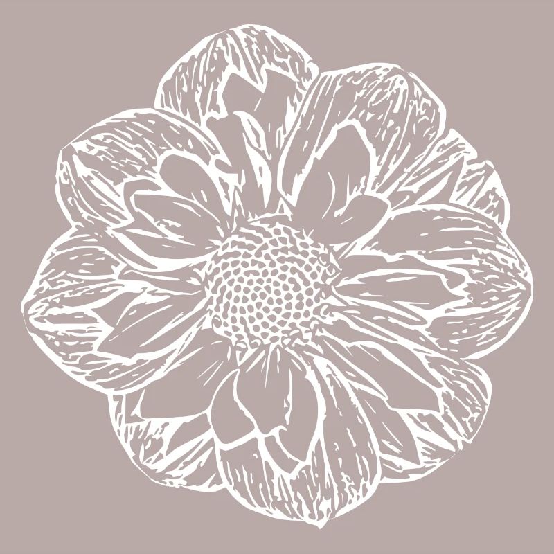 Fleur, Blanc, Fleur Blanche