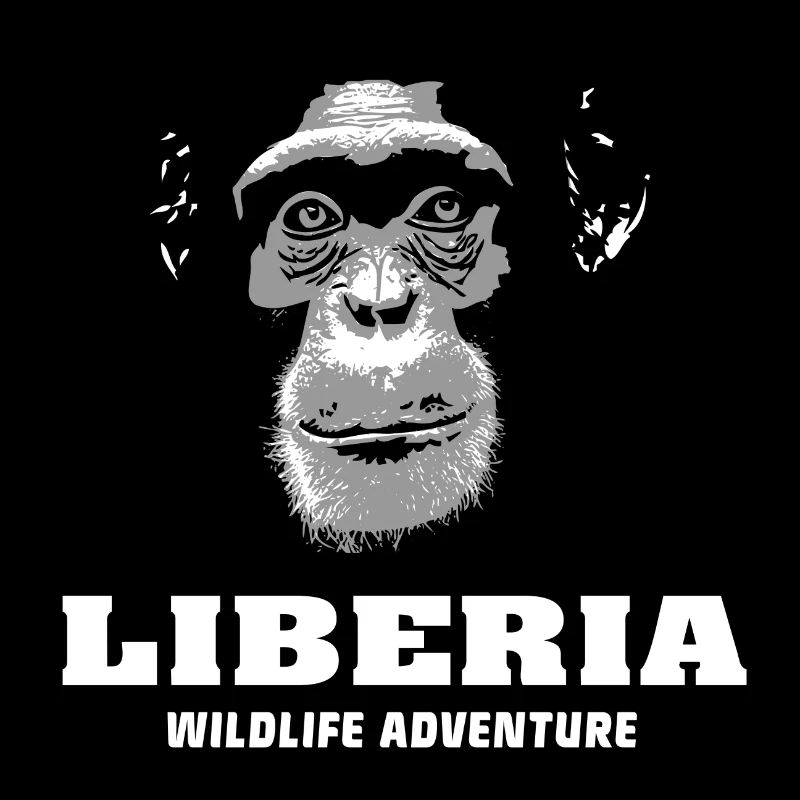 Liberia - Chimpanzees
