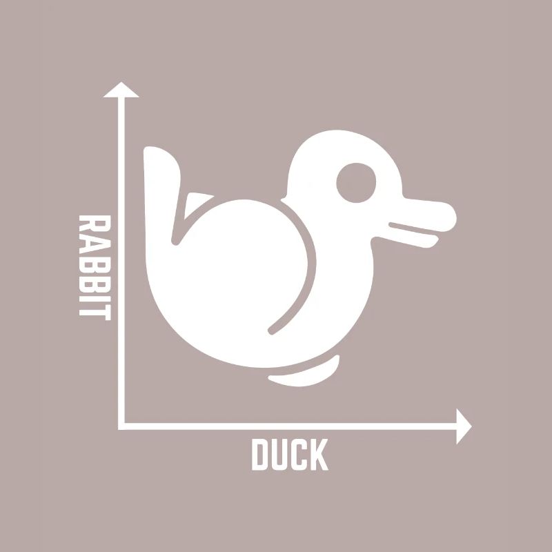 Rabbit Duck Graph Math Pun Student Teacher Easter