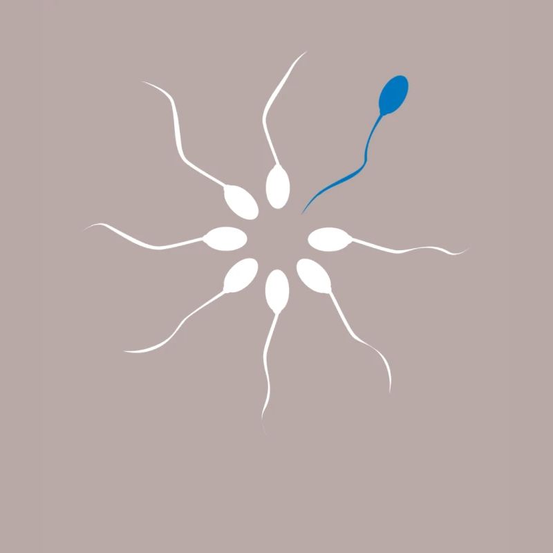 Be different Sei Anders Sperma Spermien Spermling