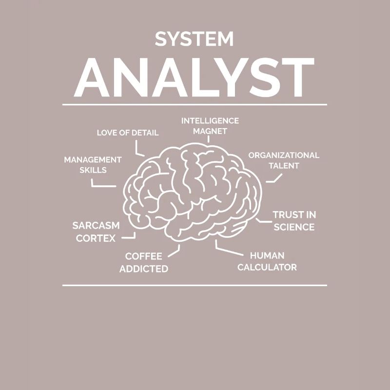 Systems analyst