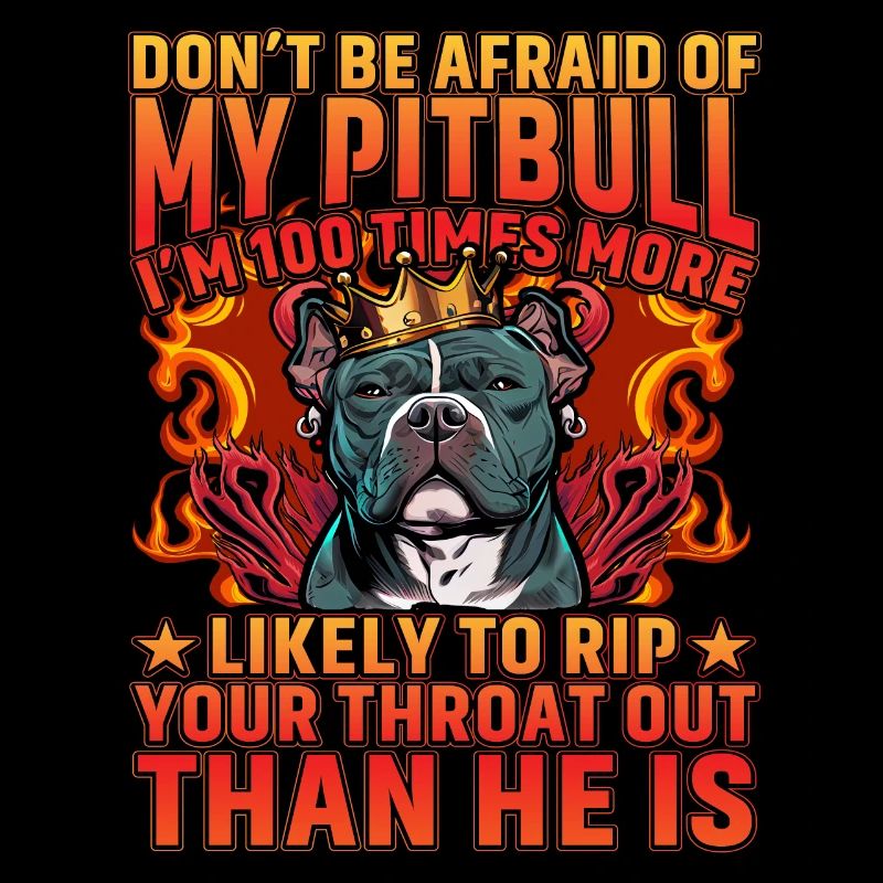Pitbull drôle de dicton