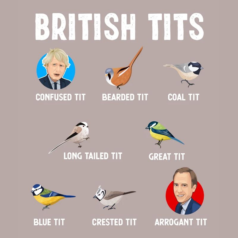Tit Bird Gift Boris Johnson Matt Hancock