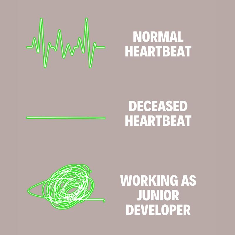 Junior Developer Professional Worker