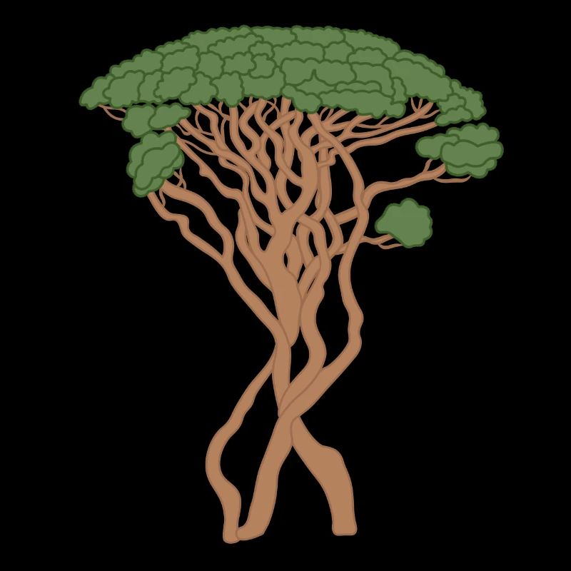 arbre, pin de Capri, pin, vert, marron, conifère