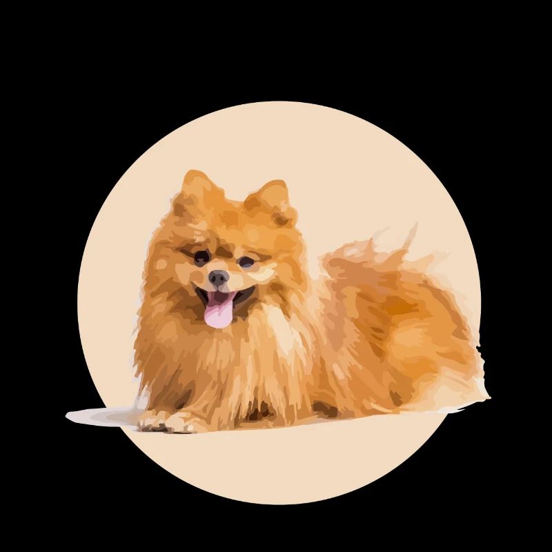 Spitz Rouge