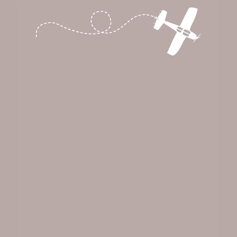 Airplane Flight Pattern Plane Gift