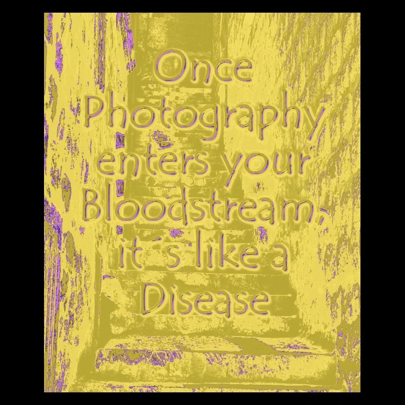 Maladie phtotographique olive