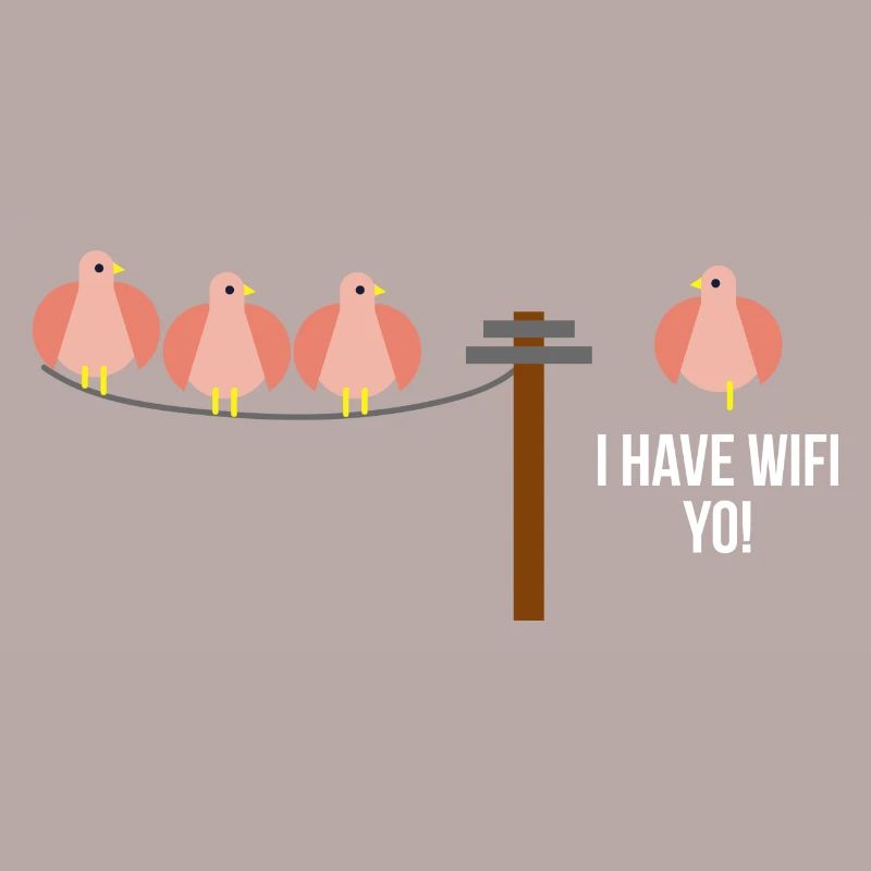 Coder Software Développeur