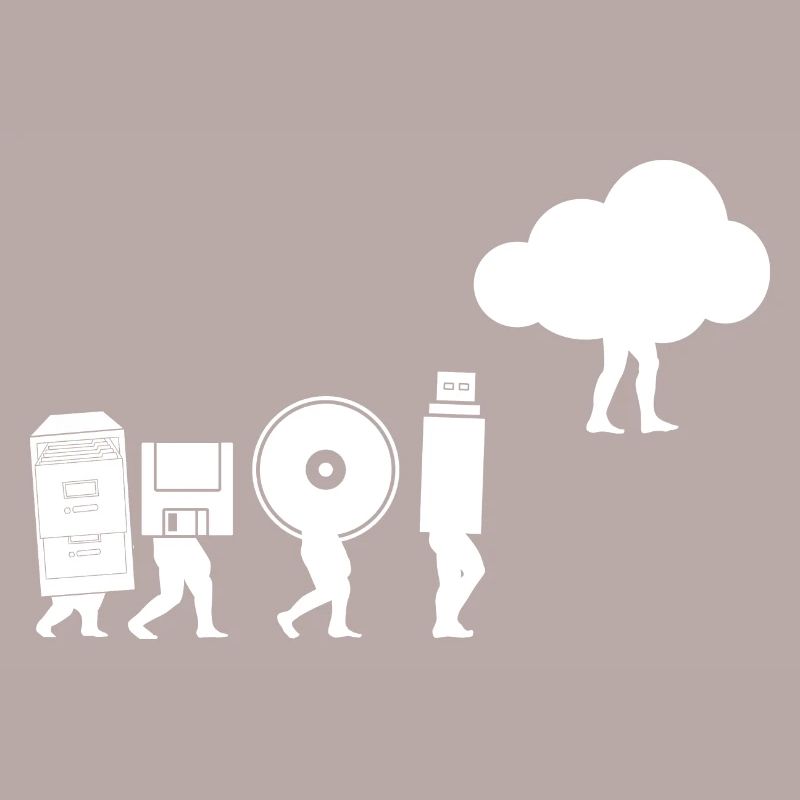 Evolution of Data Storage Coding Computer Cloud