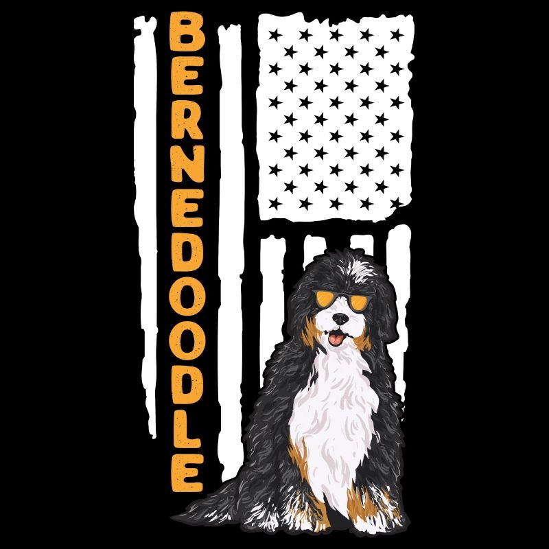 Bernedoodle Hund