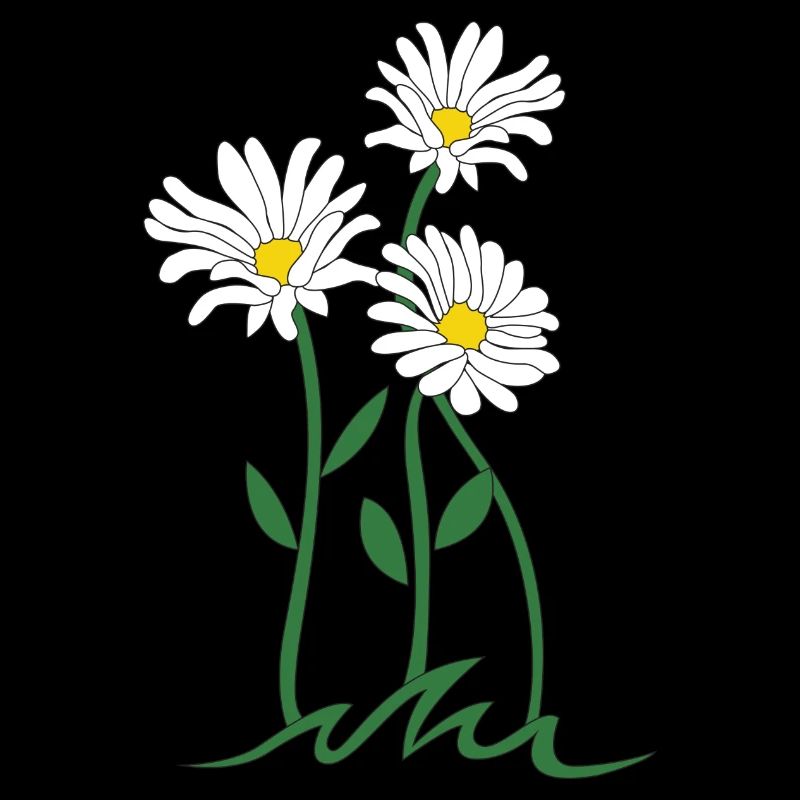 Gänseblümchen