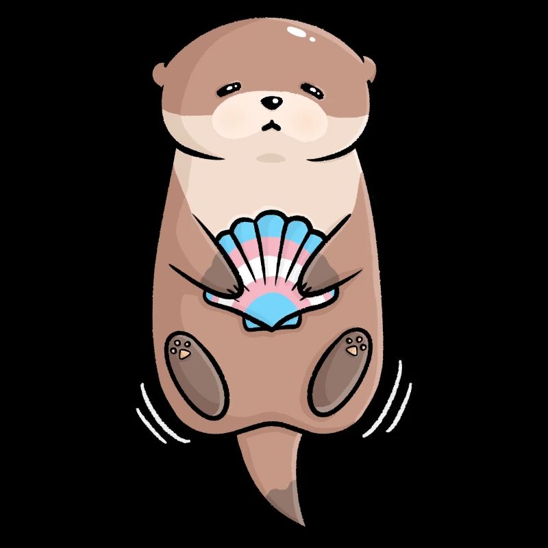 Douce loutre coquille Trans Queer drapeau drapeau LGBTQ