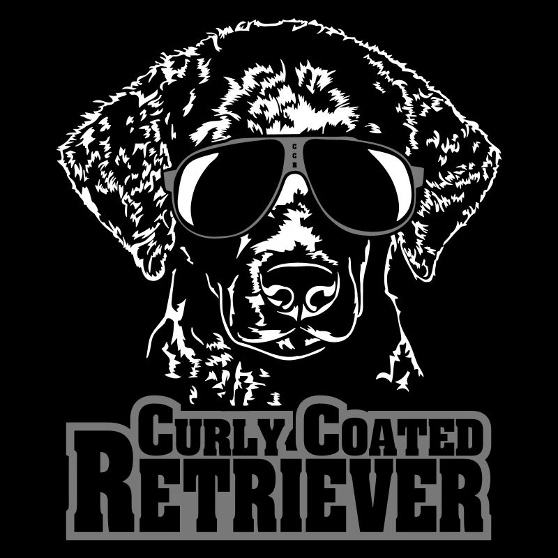 CURLY COATED RETRIEVER cool