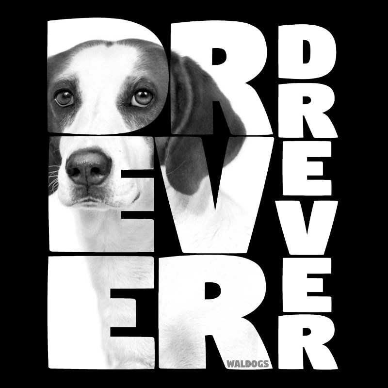 NASSU Drever 02