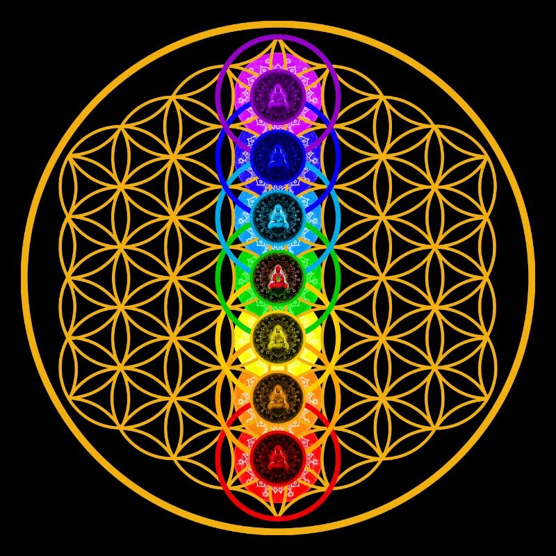 Fleur de vie avec 7 chakras