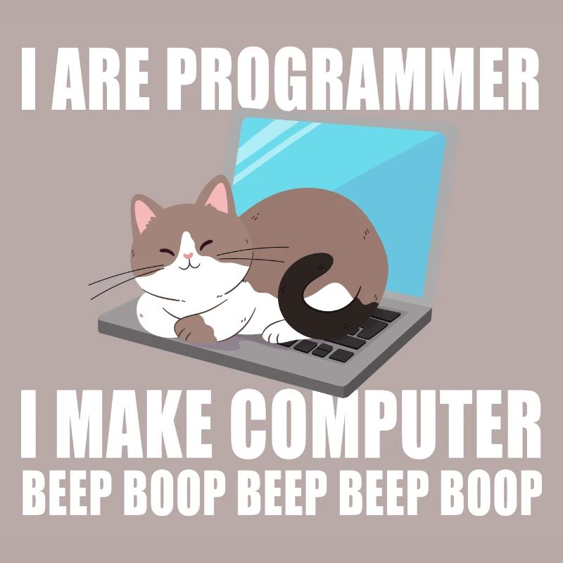 Ich bin Programmierer