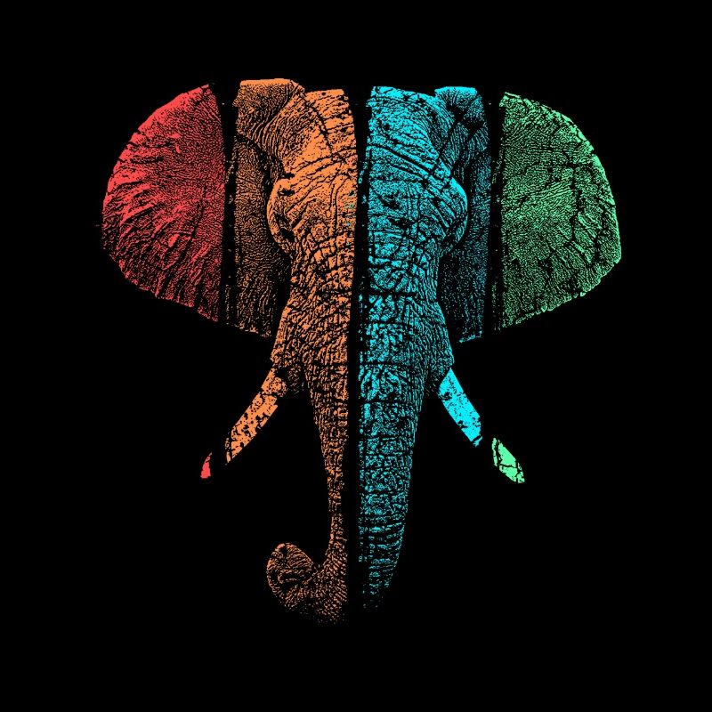éléphant