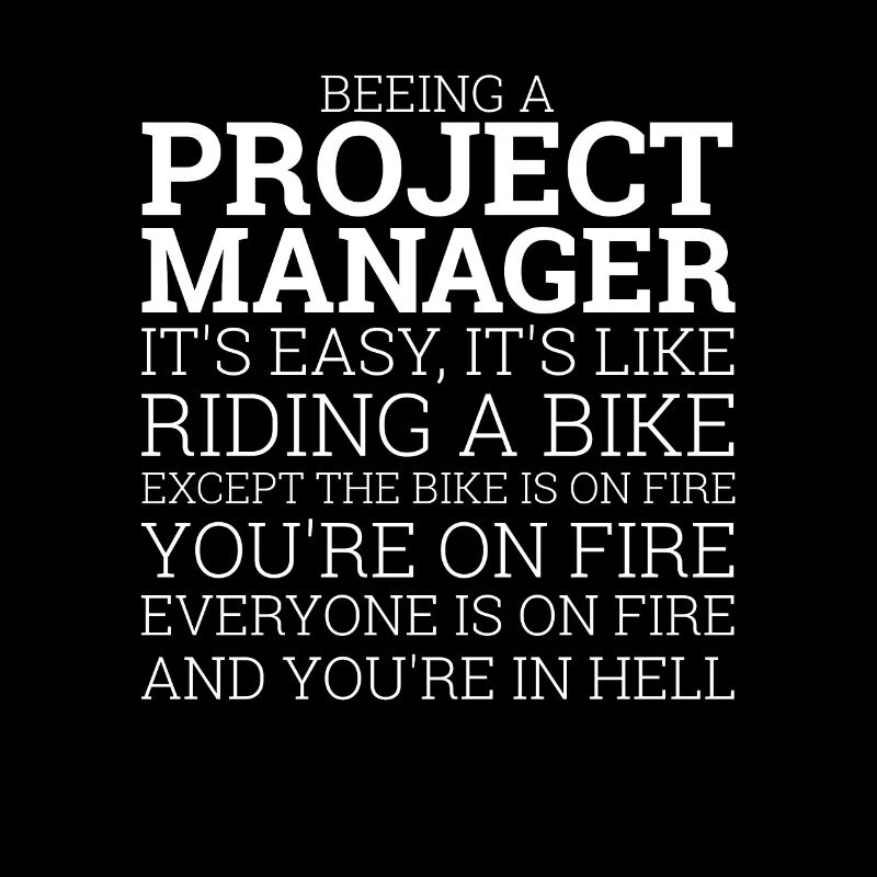 "Project Manager Bike" | "Project Manager"