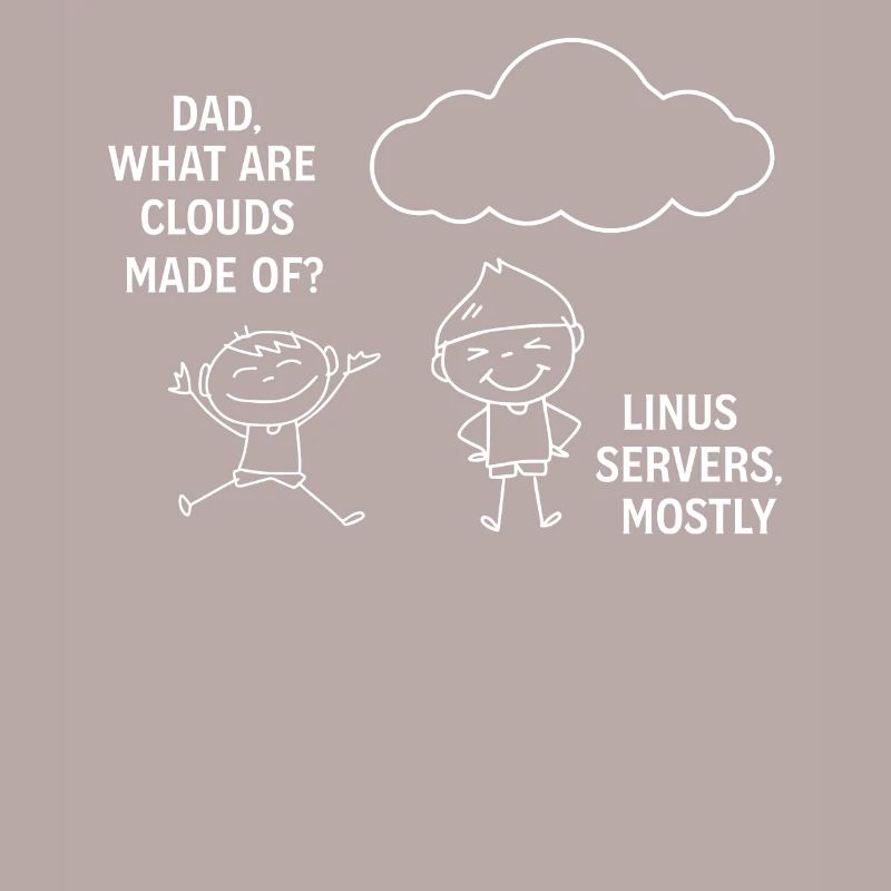 Programming Software Developer Computer Engineer