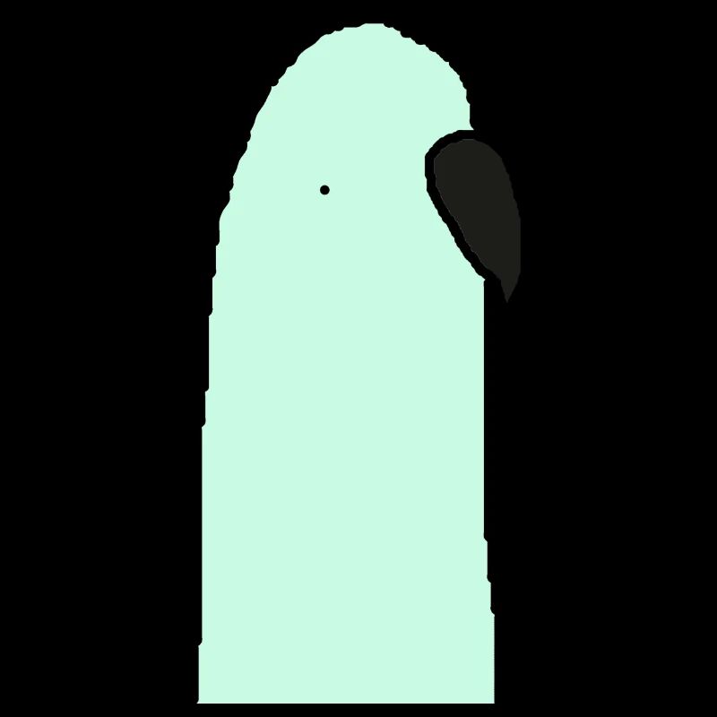 Perruche