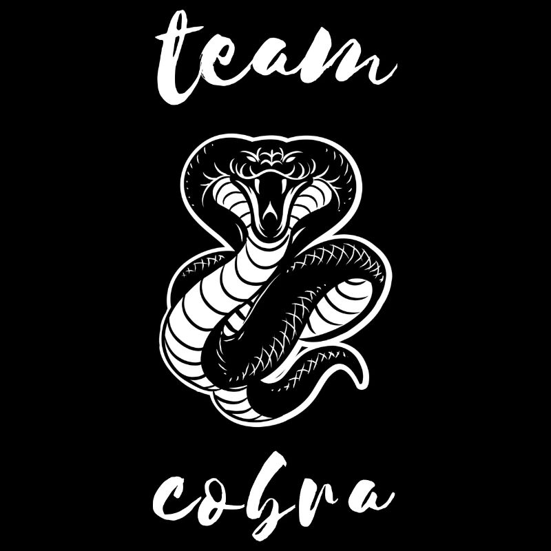 Team Cobra Illustration Serpent Cobra