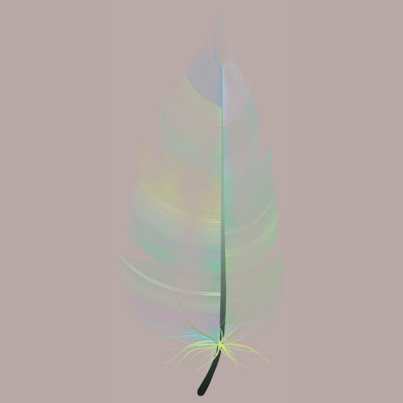 colored feather
