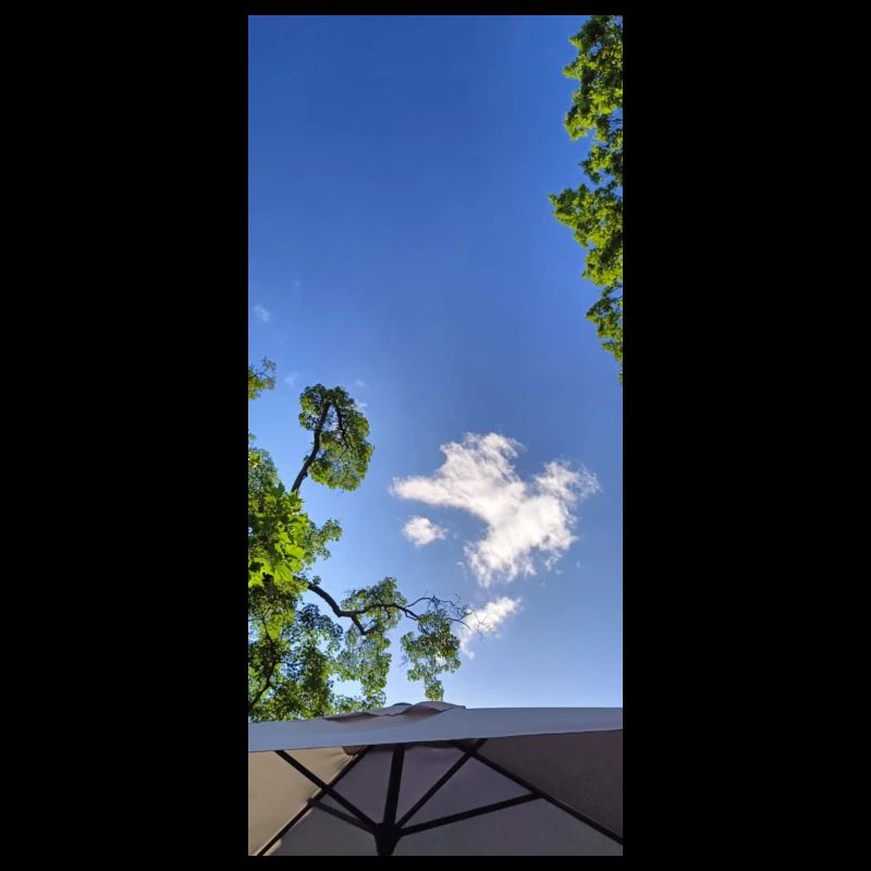 Sky, view
