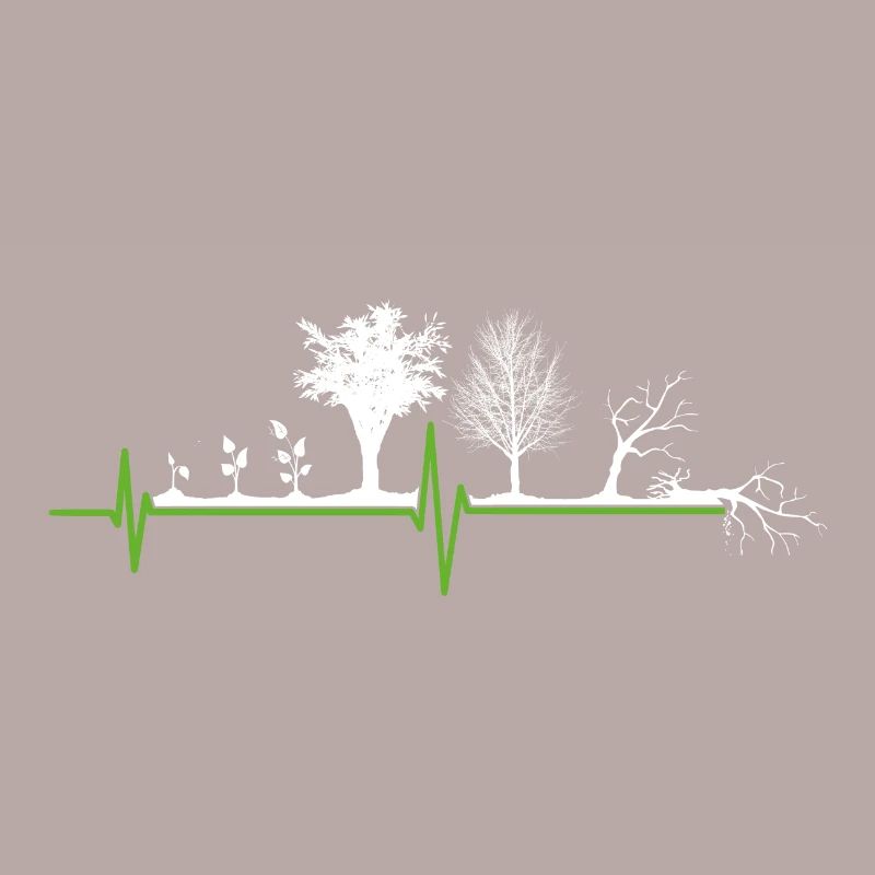 Plant Tree Evolution Garden Herzschalg