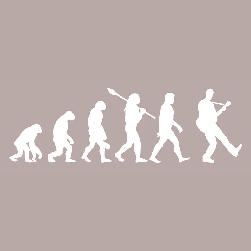 Guitare évolution