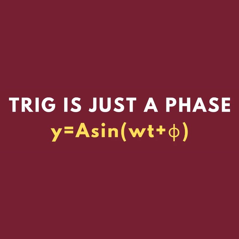 Funny Trigonometry Quote | Math Lovers Gifts