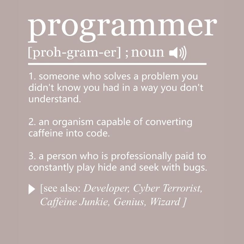 Programmer definition